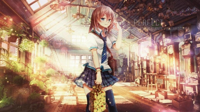 Golang vs Rust vs Dlang 哪个更有前途，哪位大牛这 3 门语言都用过？